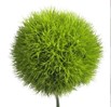 Œillet green trick