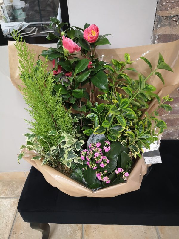 Coupe de plantes de saison